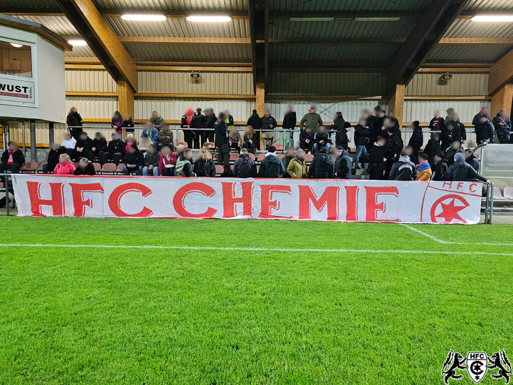 Testspiel: SG Rot-Weiß Thalheim vs. Hallescher FC